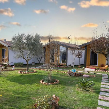 Hotel Villa Linda Shkodër Eksteriør bilde