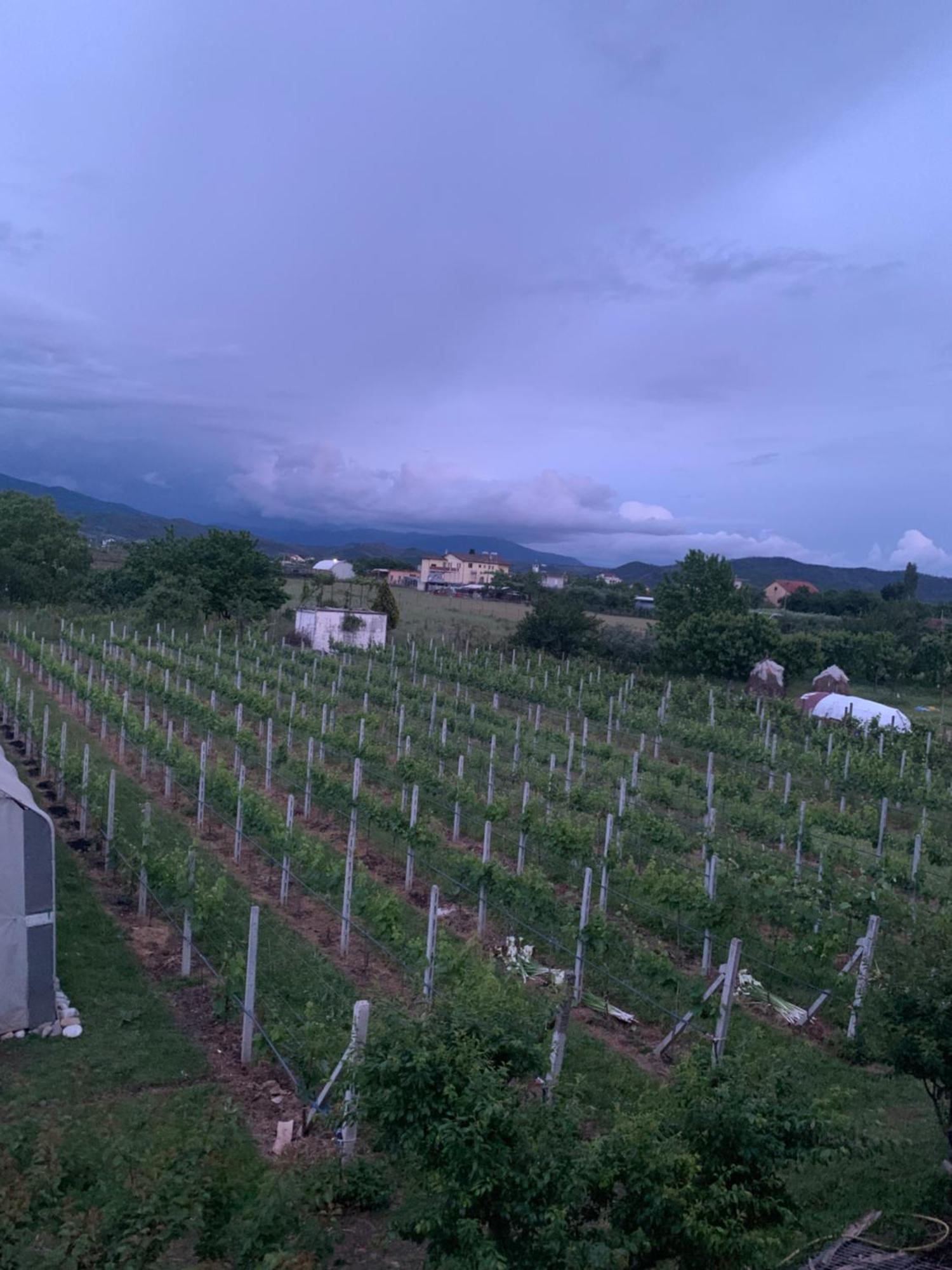 Hotel Villa Linda Shkodër Eksteriør bilde