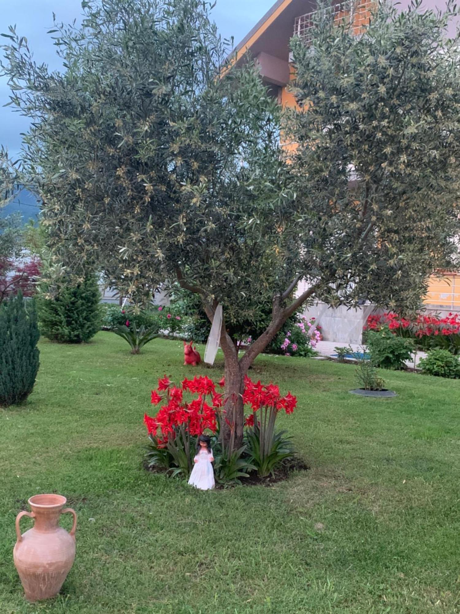 Hotel Villa Linda Shkodër Eksteriør bilde