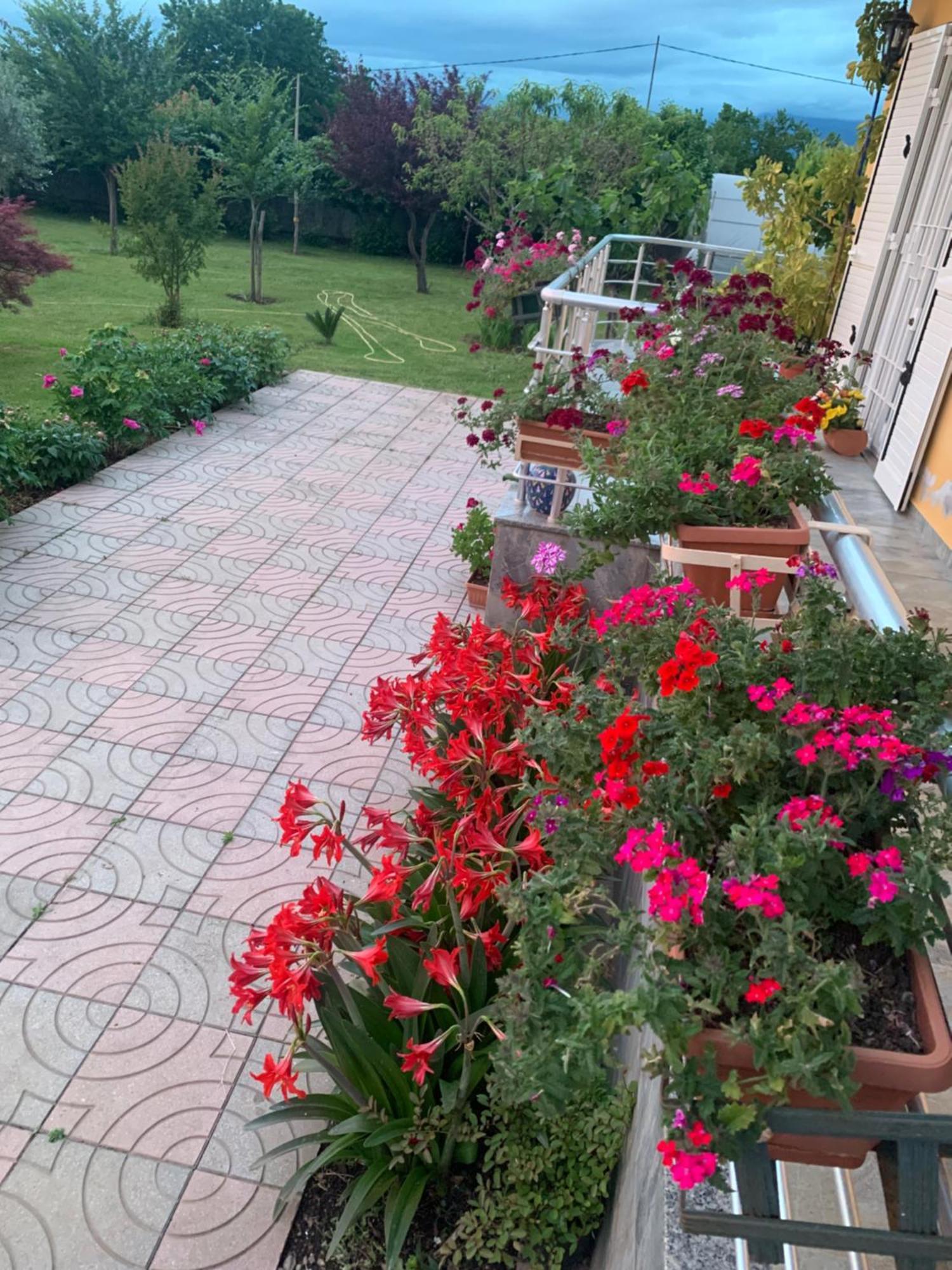 Hotel Villa Linda Shkodër Eksteriør bilde