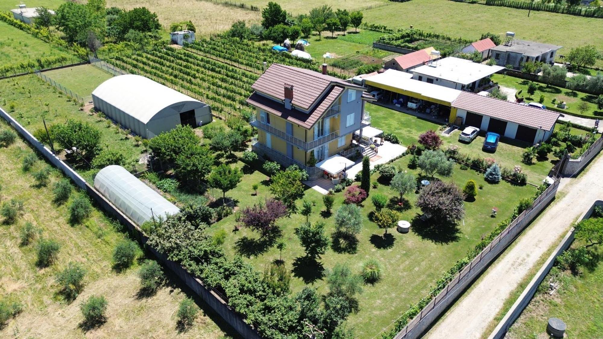 Hotel Villa Linda Shkodër Eksteriør bilde