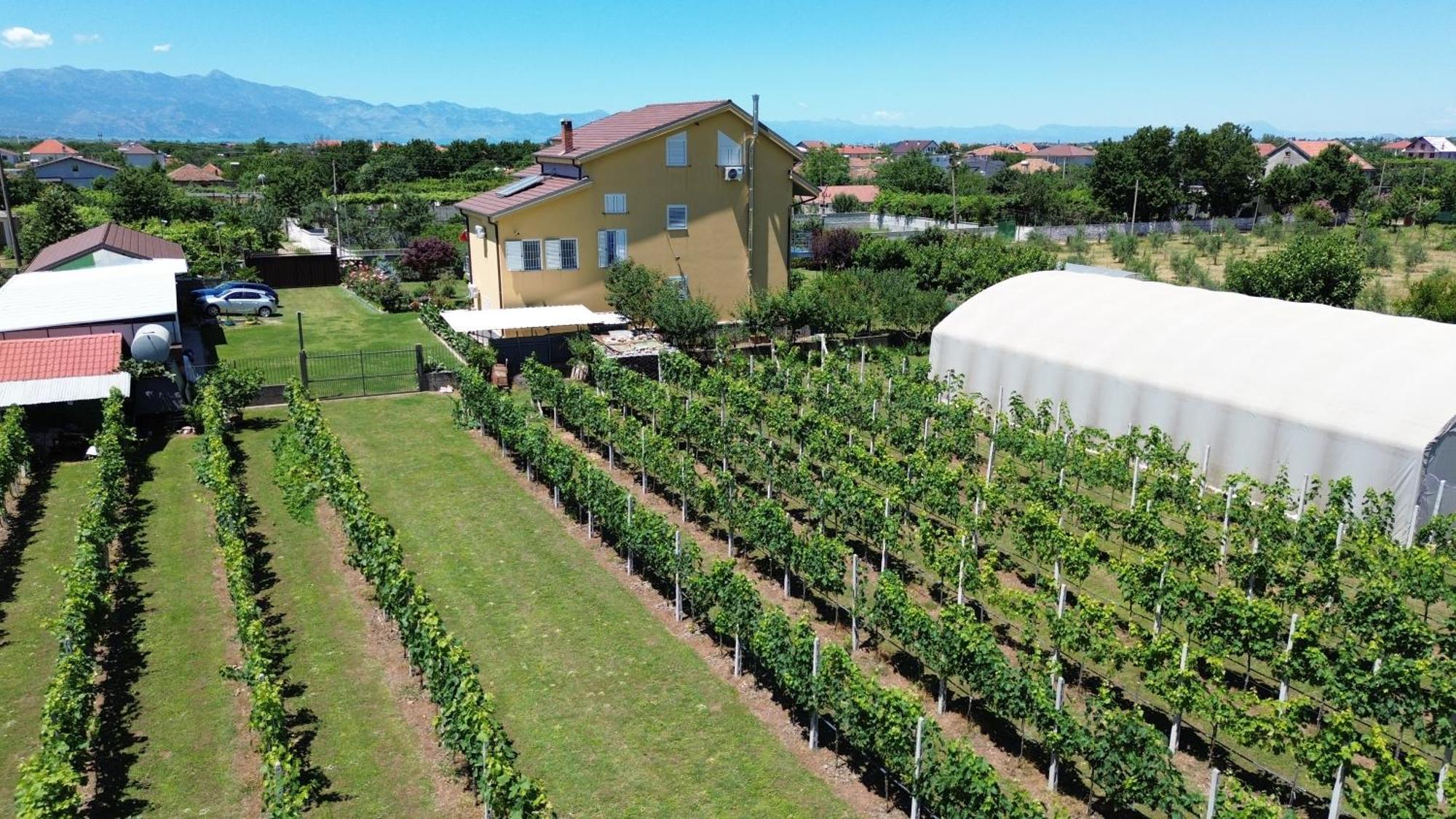 Hotel Villa Linda Shkodër Eksteriør bilde